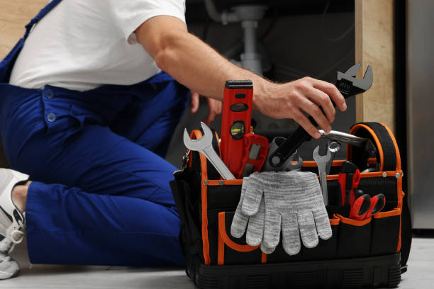 Best Clogged Drain Plumber  in Ingram, PA
